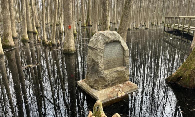 An elevated boardwalk leads to the granite monument at Louisiana Purchase State Park. 